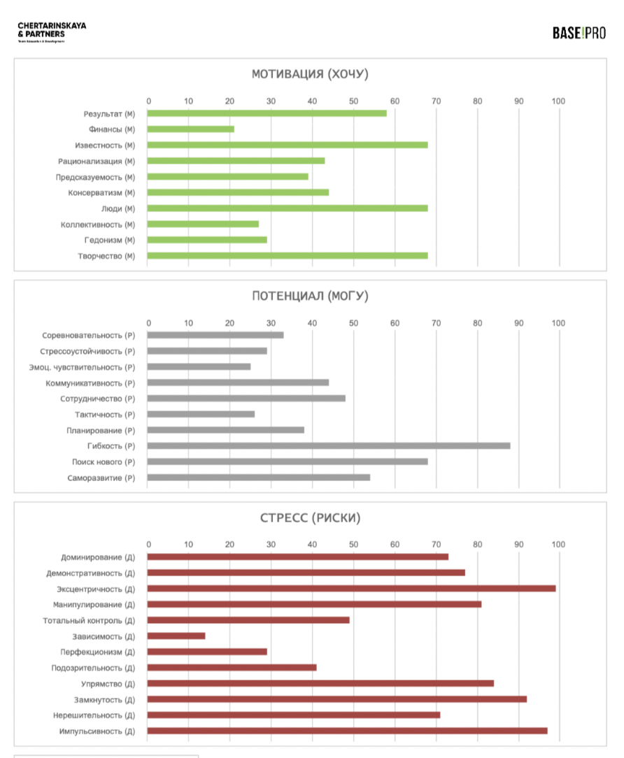 BASE.PRO summary profile: motivation, potential, stress risks and consistency
